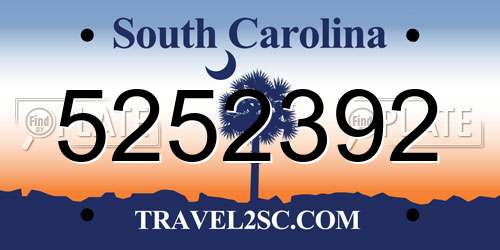 5252392 South Carolina License Plate