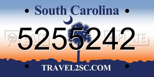 5255242 South Carolina License Plate