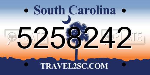 5258242 South Carolina License Plate