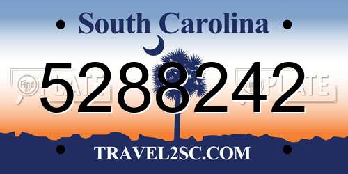 5288242 South Carolina License Plate