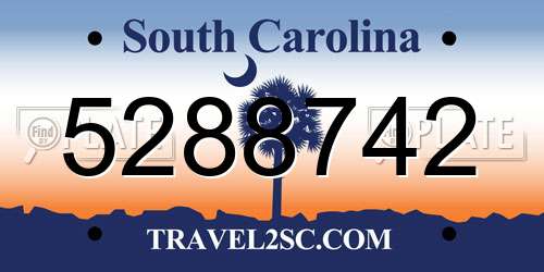 5288742 South Carolina License Plate