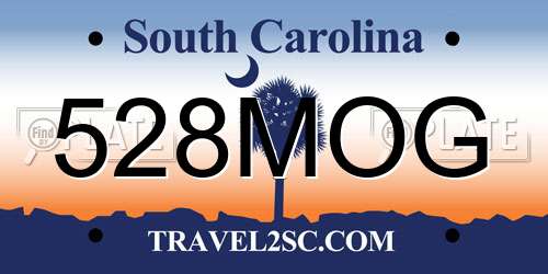 528MOG South Carolina License Plate