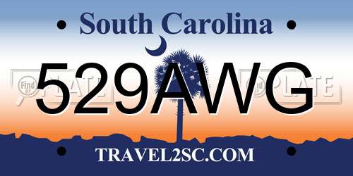 529AWG South Carolina License Plate