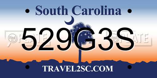 529G3S South Carolina License Plate