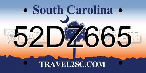 52DZ665 South Carolina License Plate
