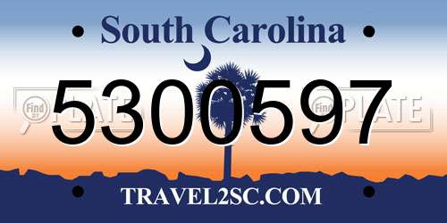 5300597 South Carolina License Plate