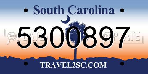 5300897 South Carolina License Plate