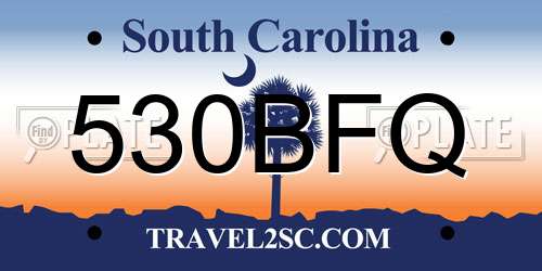 530BFQ South Carolina License Plate