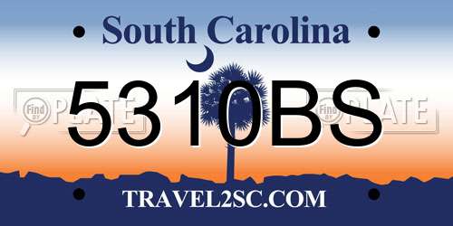 5310BS South Carolina License Plate