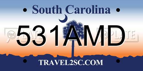 531AMD South Carolina License Plate