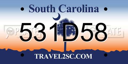 531D58 South Carolina License Plate