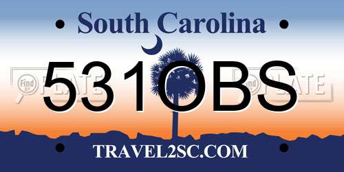 531OBS South Carolina License Plate