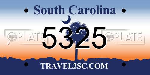 5325 South Carolina License Plate