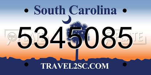 5345085 South Carolina License Plate