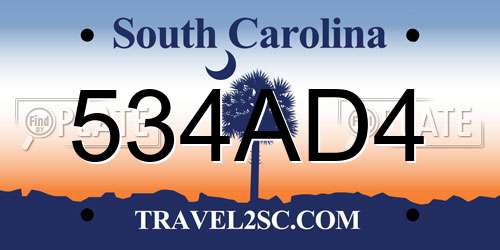 534AD4 South Carolina License Plate