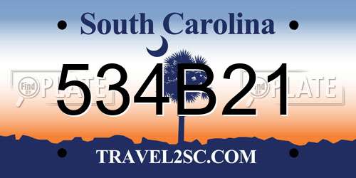 534B21 South Carolina License Plate