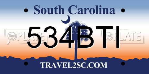 534BTI South Carolina License Plate