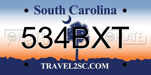 534BXT South Carolina License Plate