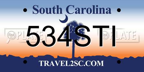 534STI South Carolina License Plate