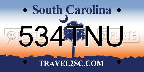 534TNU South Carolina License Plate
