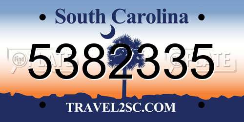 5382335 South Carolina License Plate