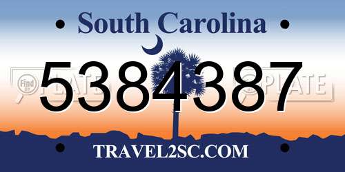 5384387 South Carolina License Plate