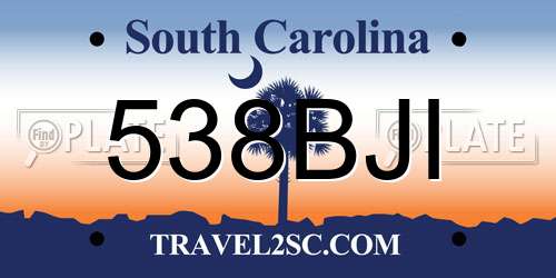 538BJI South Carolina License Plate