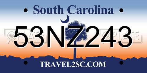 53NZ243 South Carolina License Plate