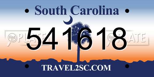 541618 South Carolina License Plate