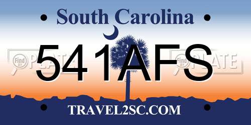 541AFS South Carolina License Plate