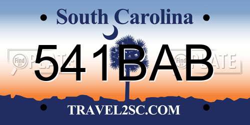 541BAB South Carolina License Plate
