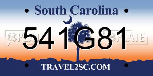 541G81 South Carolina License Plate