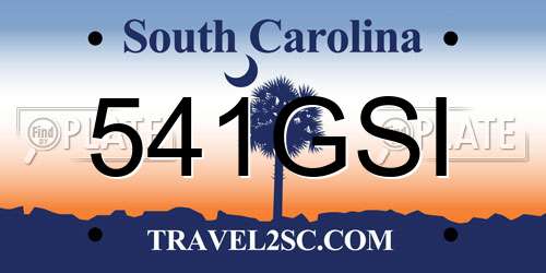 541GSI South Carolina License Plate