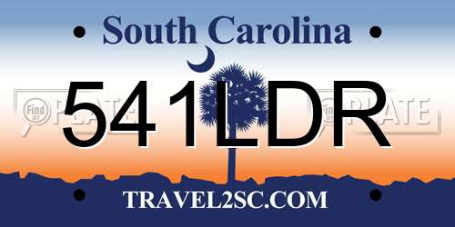 541LDR South Carolina License Plate