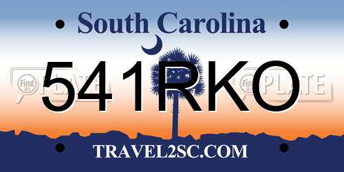 541RKO South Carolina License Plate