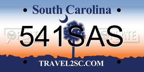 541SAS South Carolina License Plate
