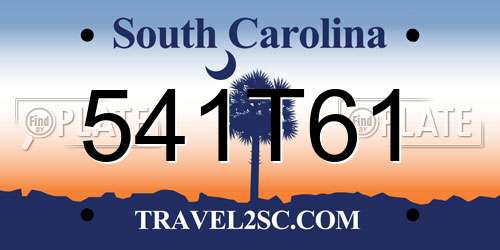 541T61 South Carolina License Plate