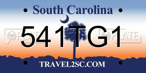 541TG1 South Carolina License Plate