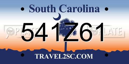 541Z61 South Carolina License Plate