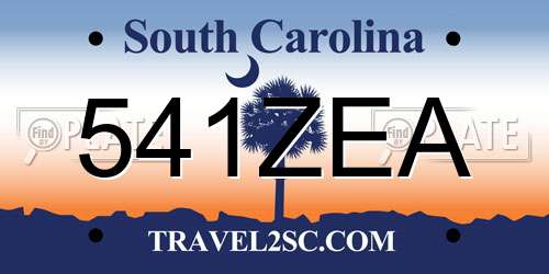 541ZEA South Carolina License Plate