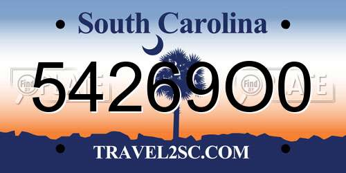 54269O0 South Carolina License Plate