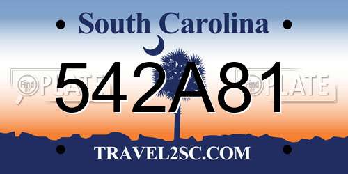 542A81 South Carolina License Plate
