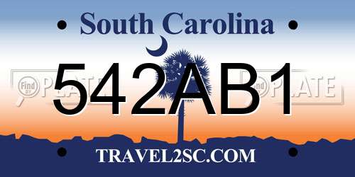 542AB1 South Carolina License Plate