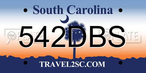 542DBS South Carolina License Plate