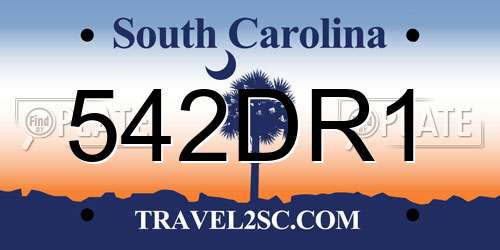 542DR1 South Carolina License Plate