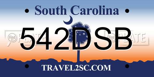 542DSB South Carolina License Plate