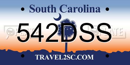 542DSS South Carolina License Plate