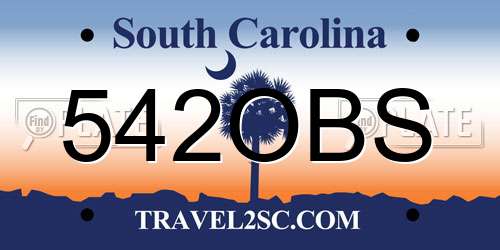542OBS South Carolina License Plate