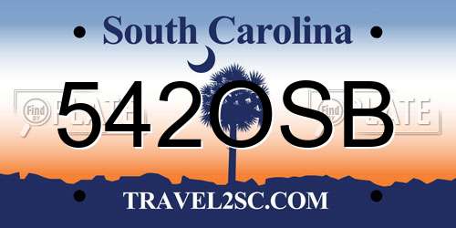 542OSB South Carolina License Plate