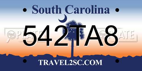 542TA8 South Carolina License Plate